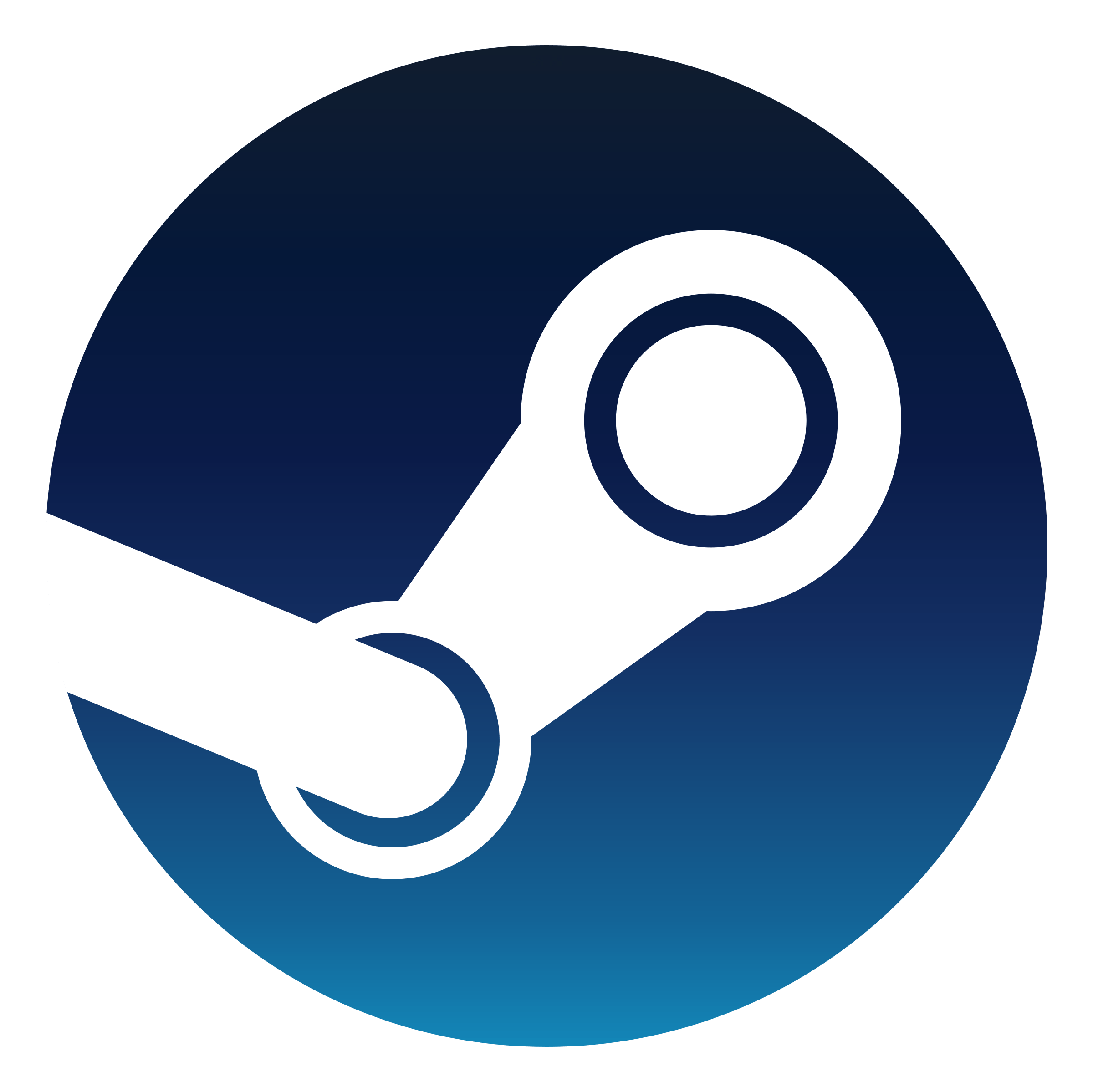 STEAM